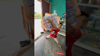 Download lagu Si pahmi ngamuk dapat layangan #hidupdidesa #minivlog #anakdesa #davidsunairi #fahmi mp3