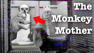 The Dark Side of Science: The Surrogate Mother Experiment (Short Documentary)