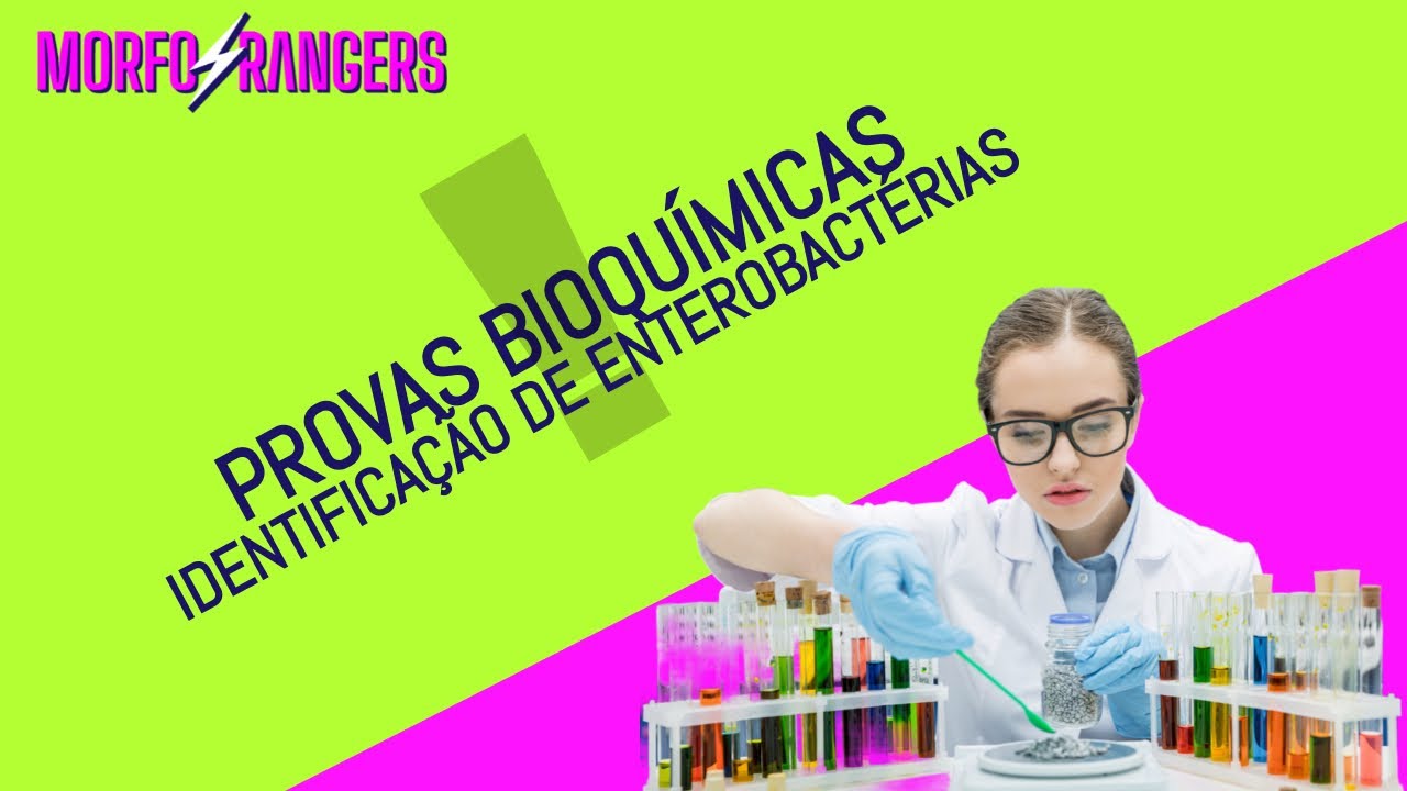 Provas bioquímicas para identificação de Enterobactérias