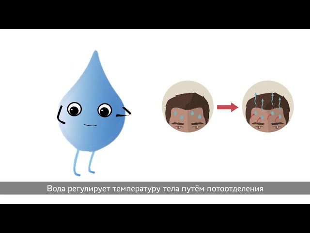 Вода. Почему без нее невозможно жить?