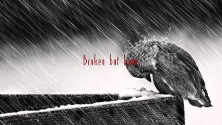 Common Linnets -  Broken But Home Lyrics