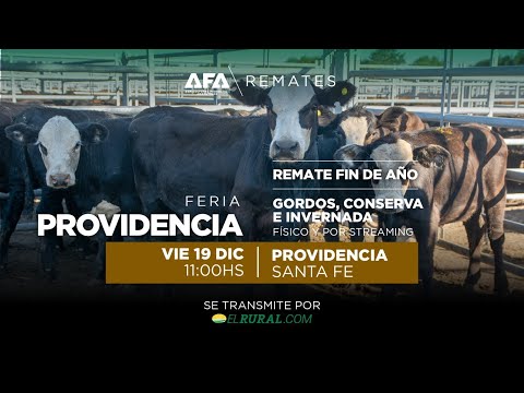 Remate AFA Gordos, Coonserva e Invernada desde Providencia Santa Fe