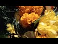 Majha Bappa Kiti God Disto Whatsapp Status