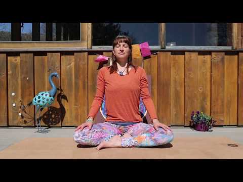 SHIVAS TANZ - Ganzheitliche Yogapraxis für Krisenzeiten