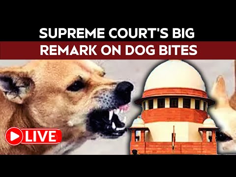 Supreme Court LIVE | "For Every Dog Bite, We Are Likely To...": Big Supreme Court Remark | SC News