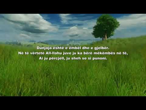 Mos të na mashtrojë dunjaja.