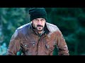 Tiger Vs Wolf Salman Khan Tiger Zinda Hai
