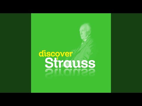 A Hero's Life, Op. 40: VI. The Hero's Retirement from this World and Consummation