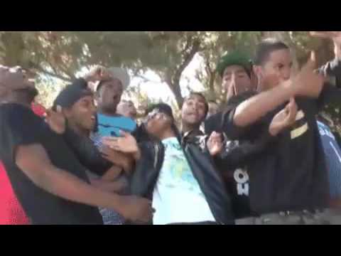 La falsità di sto cazzo!