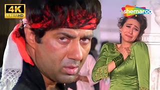 Jeet