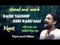 Kaise Taushif Uski Karu Mai Naat || Pirjada Junaid Siddiqui || Lofi Version || Slowed and Reverb