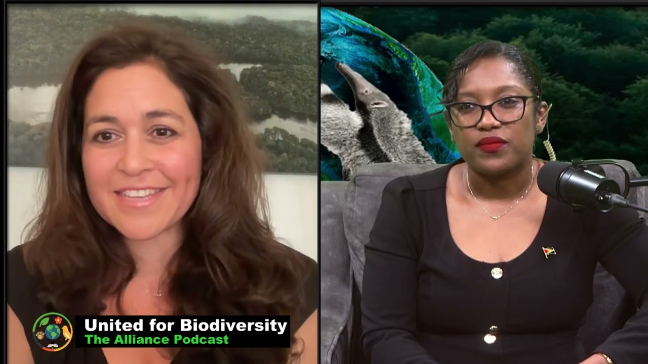 Guyana’s conservation model shaped by Indigenous input, grassroots innovation