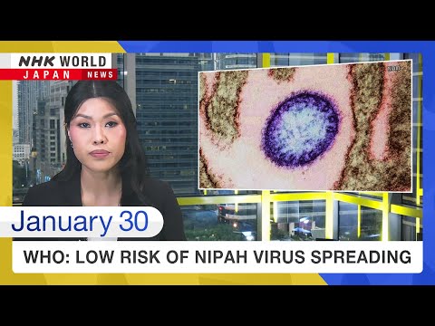 WHO: Low risk of Nipah virus spreadingーNHK WORLD-JAPAN NEWS