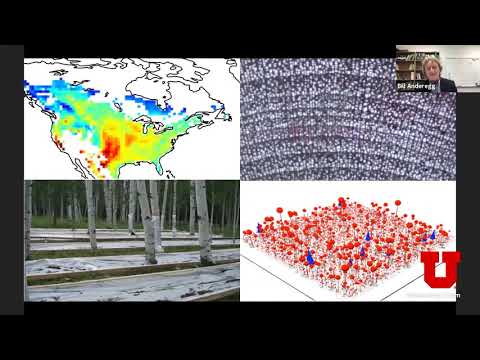 The future of western forests in a changing climate.