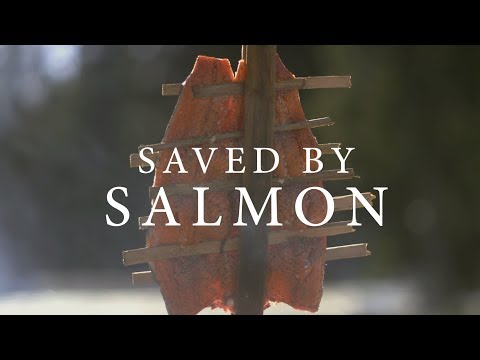 Saved by Salmon