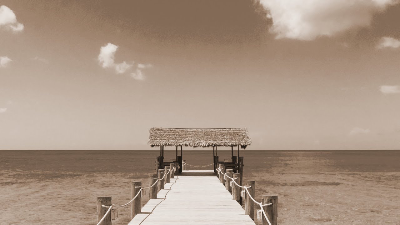 DAN DAN 心魅かれてく - FIELD OF VIEW（フル）