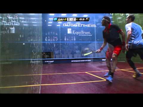 Squash : Metrosquash Windy City Open 2014 - PSA SF Roundup
