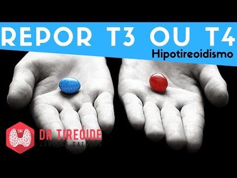 T3 vs t4 a zsírégetés érdekében