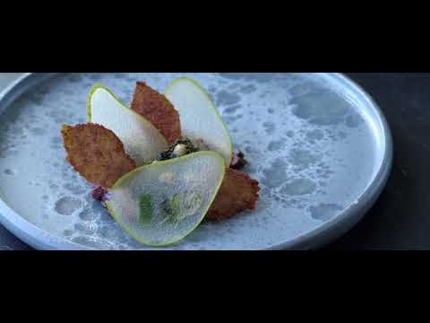 noma my perfect storm 2015 limited dvdrip x264 bipolar