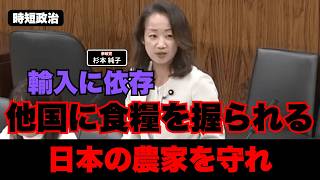 【参政党】他国に日本の食糧を握られている、日本の農家を守れ【時短政治】