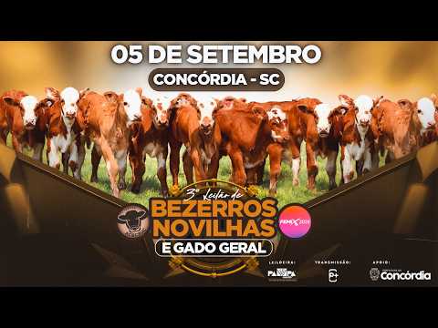 Leilão de Gado Geral, CONCÓRDIA/SC - 05/09/2026 14:00h