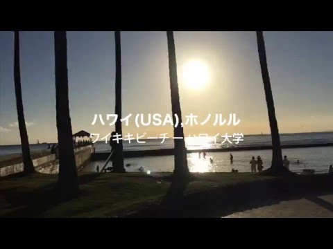早稲田大学留学リポート2016 #2アメリカ・ハワイ大学