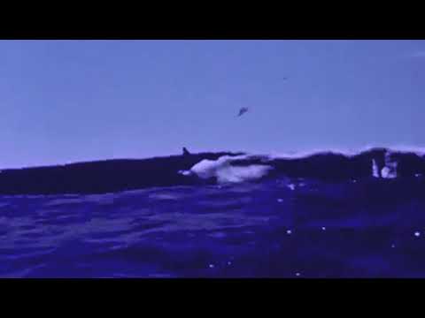 Poolside – Can't Stop Your Lovin' (feat. Panama) – The Undercover Dream Lovers Remix