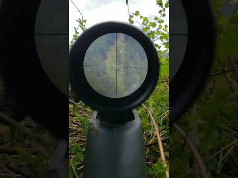 Así se ve una mira de francotirador