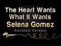 Selena Gomez The Heart Wants What It Wants Karaoke Version