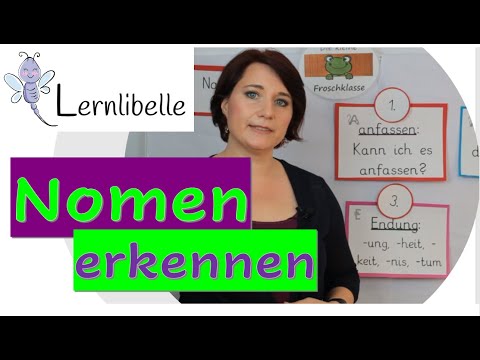 Nomen kennenlernen / Richtig schreiben/ Namenwörter erklärt für Schüler/ Frau Zimmer Lernlibelle