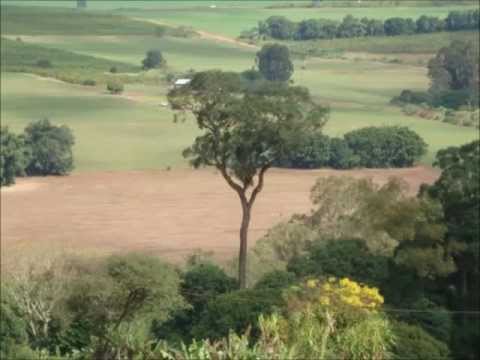 Esteio de Aroeira - Zé Fortuna e Pitangueira