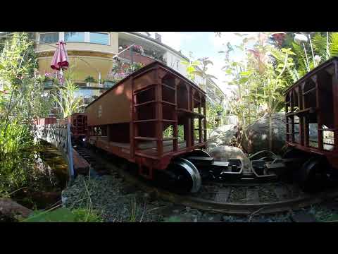 PIKO Harzkamel zieht schweren Zug vorbei