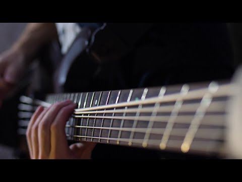 Krosis - To Persist or Adhere (Bass Playthrough)
