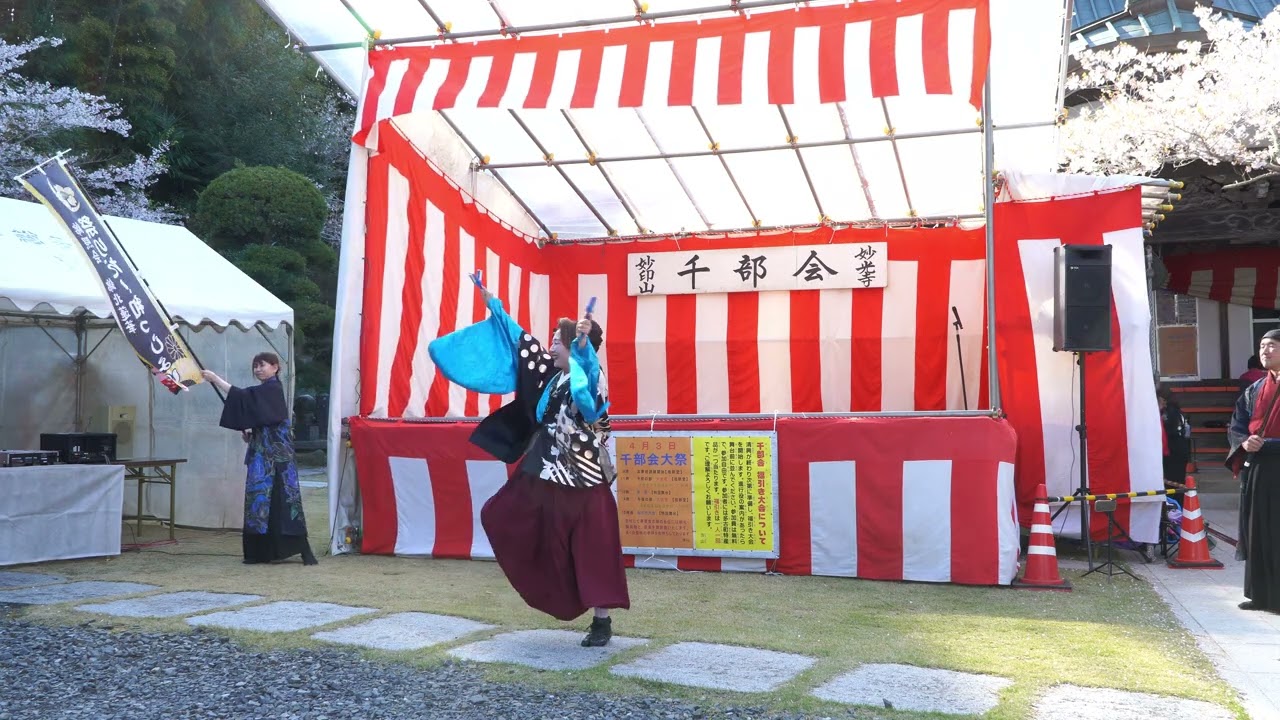 よさこい HEY∞WA 錦照会錦北蓮華【4K】／第3部／下総多古妙光寺千部会2026春