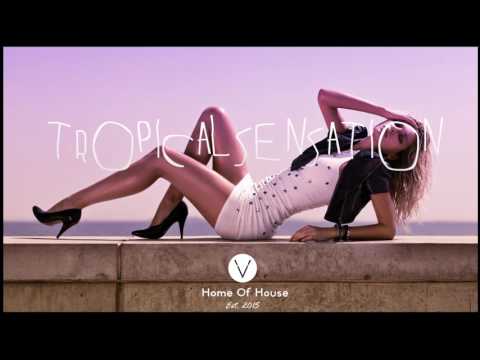 BEST OF POPULAR MUSIC SEPTEMBER 2016 [HOUSE EDITION] Tropical Sensation #2 | Venentra