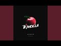 Te Molla 2019 Version
