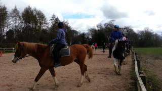 preview picture of video 'Another Saturday horse riding'