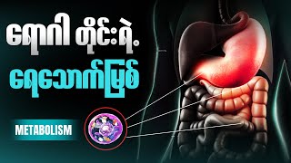 Download lagu ဝိတ်ချလေ ဝိတ်ပိုတက်လေဖြစ်နေလား | Metabolism ကို နားမလည်သေးလို့ပါ mp3 Download lagu ဝိတ်ချလေ ဝိတ်ပိုတက်လေဖြစ်နေလား | Metabolism ကို နားမလည်သေးလို့ပါ mp3