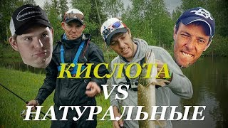Кислотные приманки для щуки