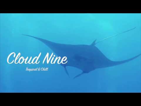 Just Chillax - Enjoy The Flight (ft. Fréd)