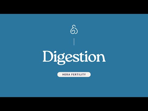 Gut Health & Sperm Quality