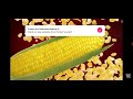 Commercial Energen Sweet Corn With Team Kramer 30 Seconds 2017