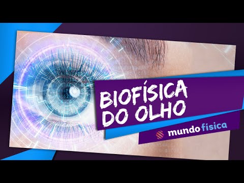 👓 Optics (3/3): Biophysics of the eye and vision problems - Physics - ENEM