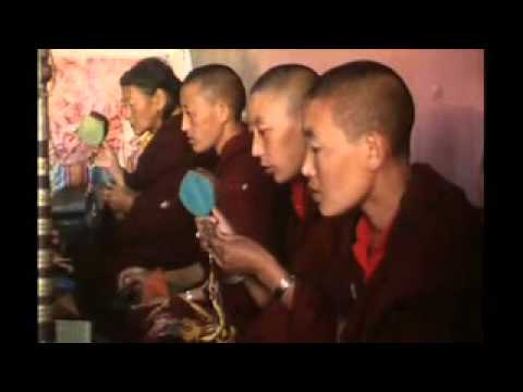 Das Wissen vom Heilen_D_Trailer