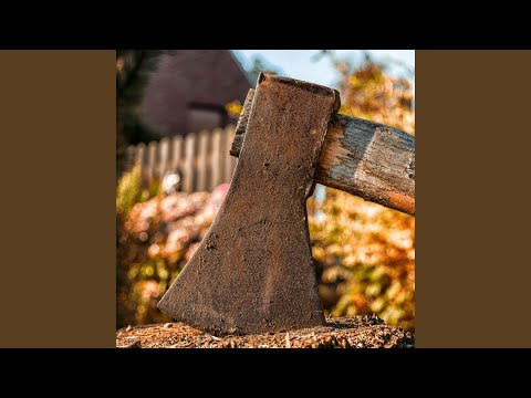 De Botste (feat. Kop)