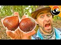 Dare Me To Eat SNAKE FRUIT