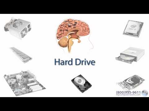 What's Inside Your Computer?