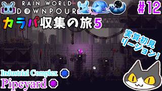【☔轟くRainworld】ハイスピードナメクジ12-カラパ収集の旅5【Downpour/リビュレット/②Industrial Complex→③Pipeyard】