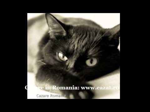 Cazare Glodeanu Sarat, Buzau - Cazat.ro