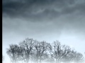 Tor Lundvall - Yule Song (HD) 